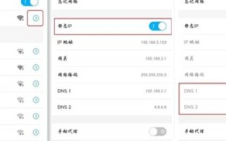 如何保存OPPO设备的IP地址域名设置