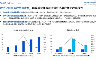 迅猛网络数据的兴起与挑战，探索数字化转型的机遇与应对