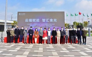 云端新纪元，优快云官网引领企业数字化转型新潮流