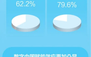 国家数据稳定性，保障数字经济健康发展的基石