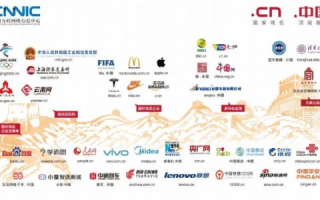 中国国内商业机构域名的独特标识，com.cn的崛起与影响