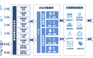 东方网域，塑造数字化时代的网络治理新范式