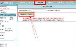 解析网站无法访问的困惑，从域名、空间到8uftp的全面排查