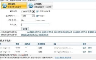 如何查询一个网站域名的别名主机地址