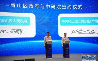 荣易网络，构建稳定基石，扬帆数字时代