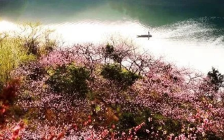 桃花岛，一个隐秘桃源的传奇