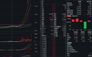 手机域名，定义、用途及未来趋势