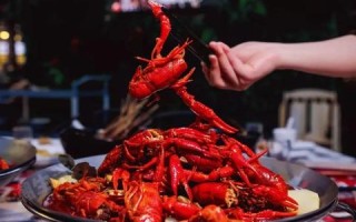 评测万维商务，揭秘其高效、精准与全面性