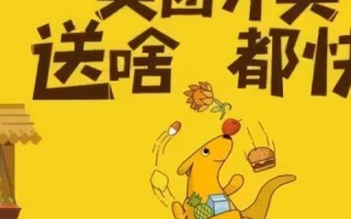 领创未来，PP主机域名网的创新之旅与竞争力洞察