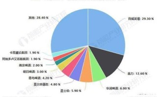 中国合租专家，稳定性分析与发展前景探讨