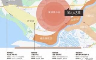 潮起潮落，数掘科技，数字化转型的新航道