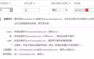 如何用两个域名指向同一个网站，详细步骤与注意事项