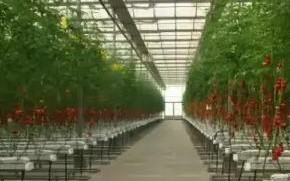 云99官网，一站式云计算服务，打造企业数字化转型新引擎