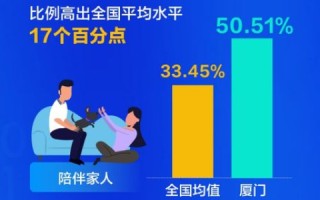 深入剖析，厦门随缘网络评测背后的奥秘与技术魔力