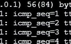Docker容器内部无法Ping通域名，原因与解决方案