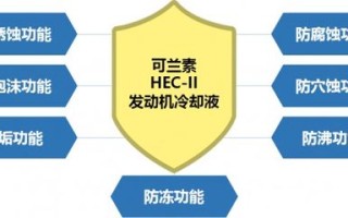 厦门昱奇网络，稳定、高效的网络服务卓越之选
