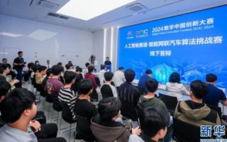 网联中国，稳定发展的创新与挑战