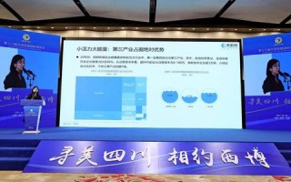 四川数据港，探索西部数字经济的创新引擎