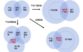 中网环球，一位用户的真实体验与深度解析