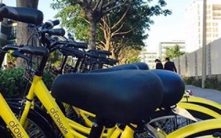 失联服务商下的网站维护与自主管理之路