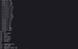 为什么我在5944免费空间找不到这个wwwroot文件夹