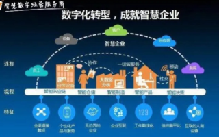 透视智通网络，企业数字化转型的加速器