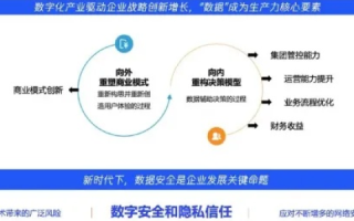 探寻腾洲数据，权威的数字化解决方案究为何？