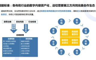 探索三三网络官网，数字时代的创新平台与未来展望