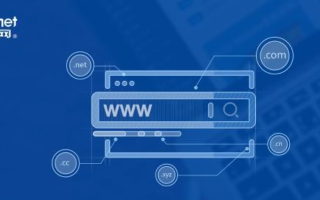 企业在Internet上建立网站一般要经过申请域名