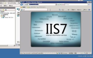 IIS自建HTTP网站空间共享的资源外网用户访问下载很慢一般也就30