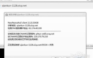 域名更换IP后仍然指向旧IP，原因解析与解决方案