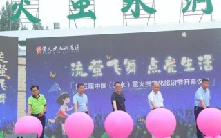 萤火虫虚拟主机评测，点亮你的在线业务，点亮你的未来
