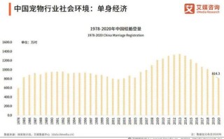 广州新一代稳定性探究，从经济、环境到社会