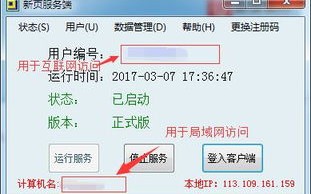 微号中的个性域名，解锁数字身份的新维度