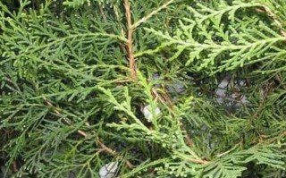 一起发合租网官网，让城市共享生活更美好