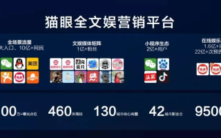 乐猫网络，编织互联网时代的创意与内容生态系统