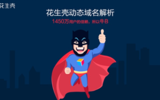 花生壳动态域名激活全攻略，轻松实现远程访问与管理的秘诀