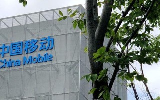如何查看域名是由哪个公网DNS来解析的
