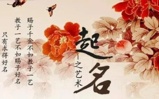 易名怎么样？探索名字变迁的奥秘与影响