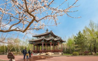 绿色空间的魔法，从心到心的绿色建筑革命