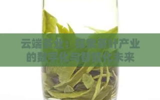 探索茶猫云，助力数字化转型的云端利器