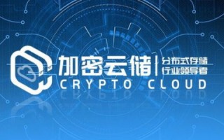 枫韵云，稳定性、安全性与未来展望的深度探讨