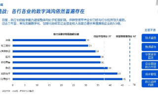 壹网天下评测，深度剖析互联网时代的数字生活变革
