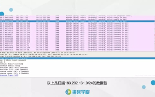 Ping网站域名，深度解析与实战应用