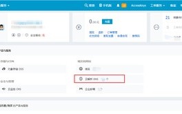 域名和主机已解析成功，如何设置服务器以成功运行你的网站