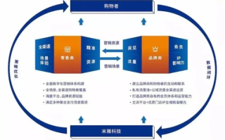 索邦互联，重塑数字化转型的领航者