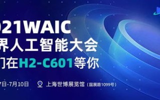 网人科技—引领数字时代创新与服务的先行者