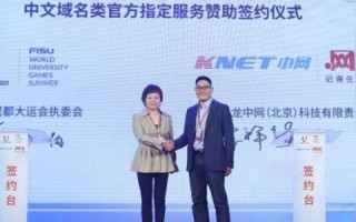 中网国际域名主机，打造稳定高效的在线世界
