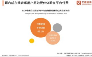探索无忧云的稳定性，技术、服务与用户反馈的全面剖析