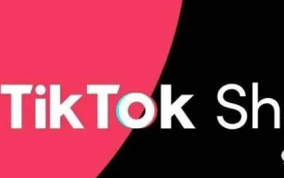 揭秘TK域名网站空白之谜，从申请到排查的全方位指南